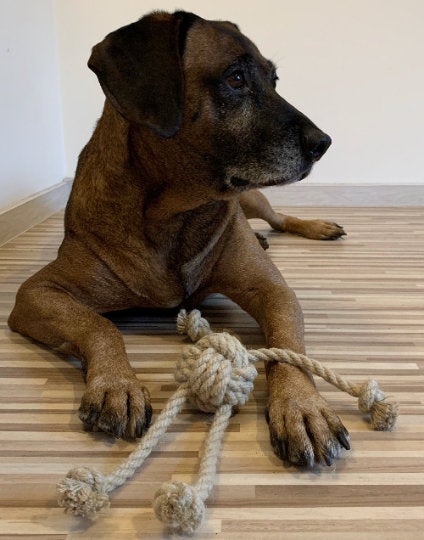 dog playing with big hemp quadropus toy