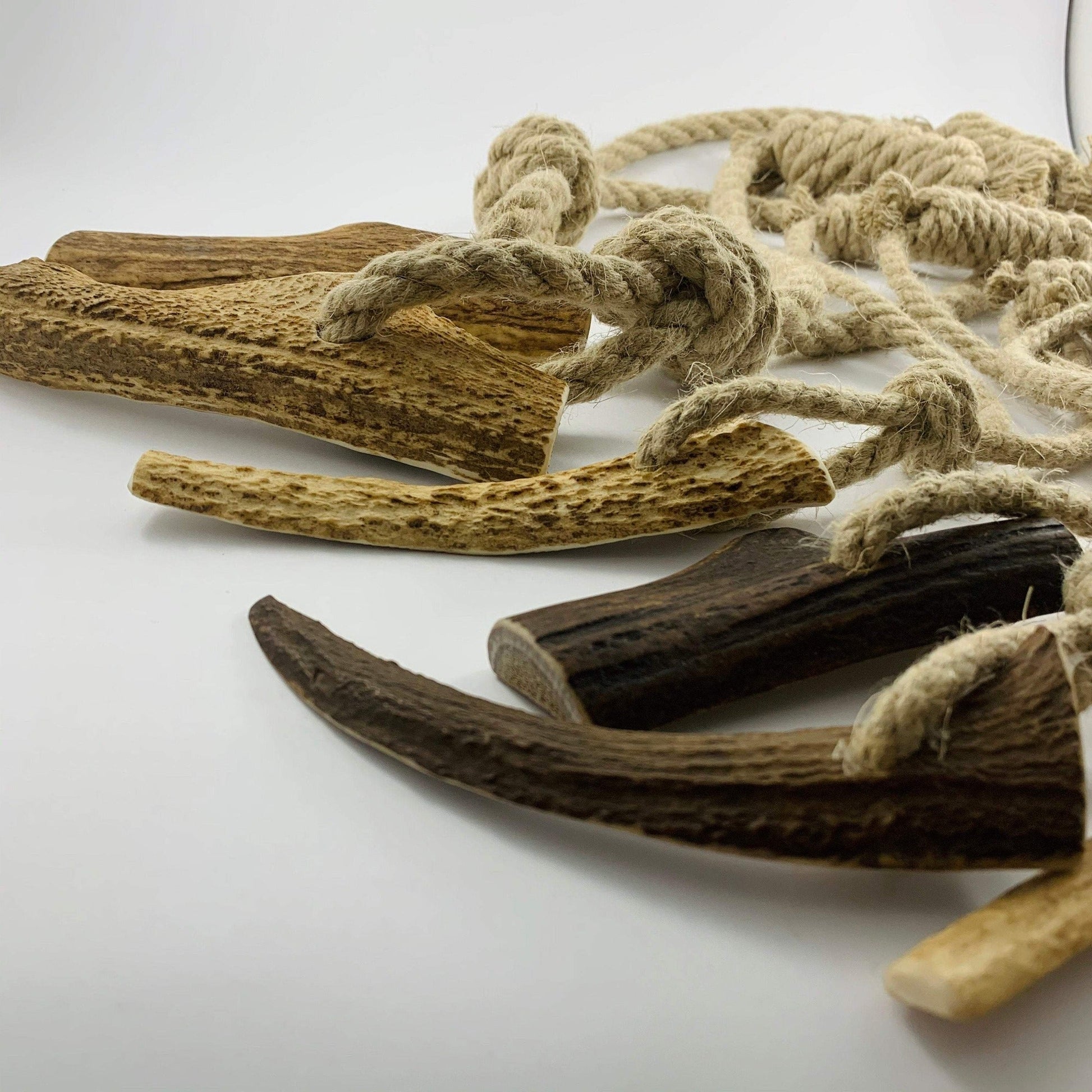 Nutrient rich and natural dog toys and chews