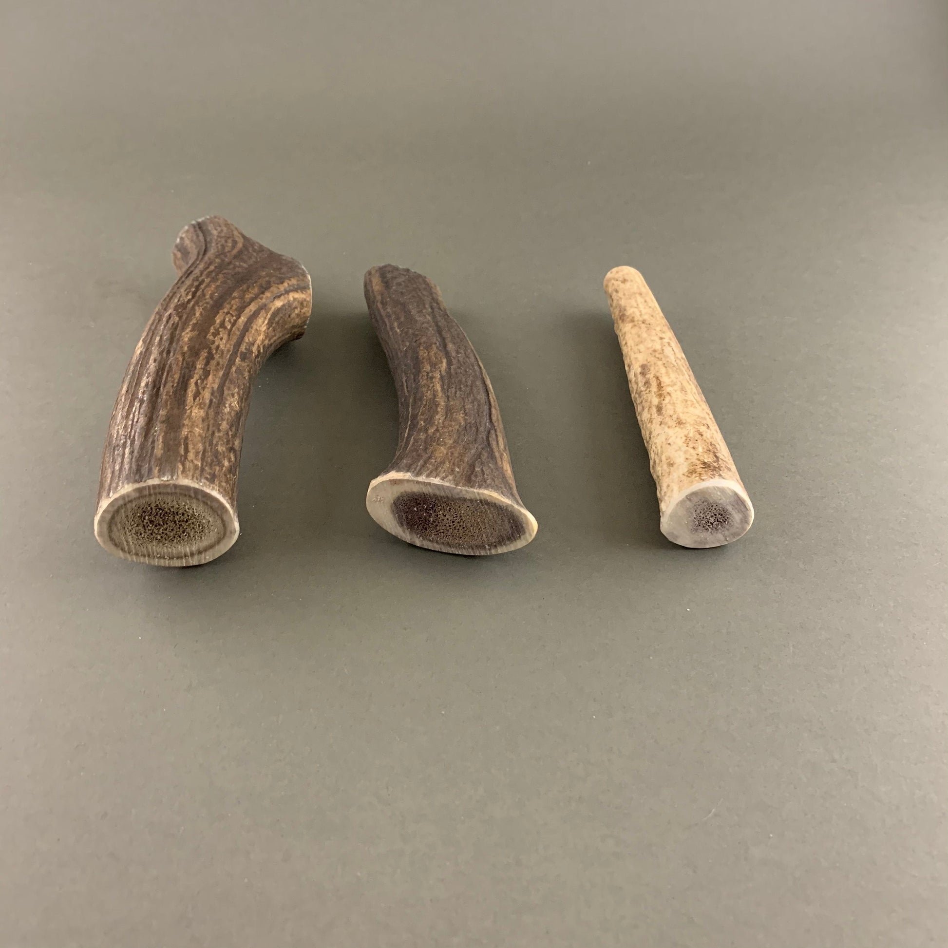 dog ches in 3 sizes red deer antler