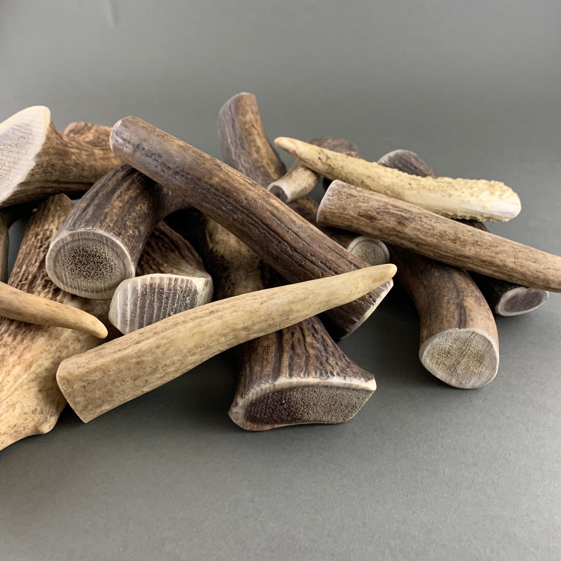 red deer antler dog chews